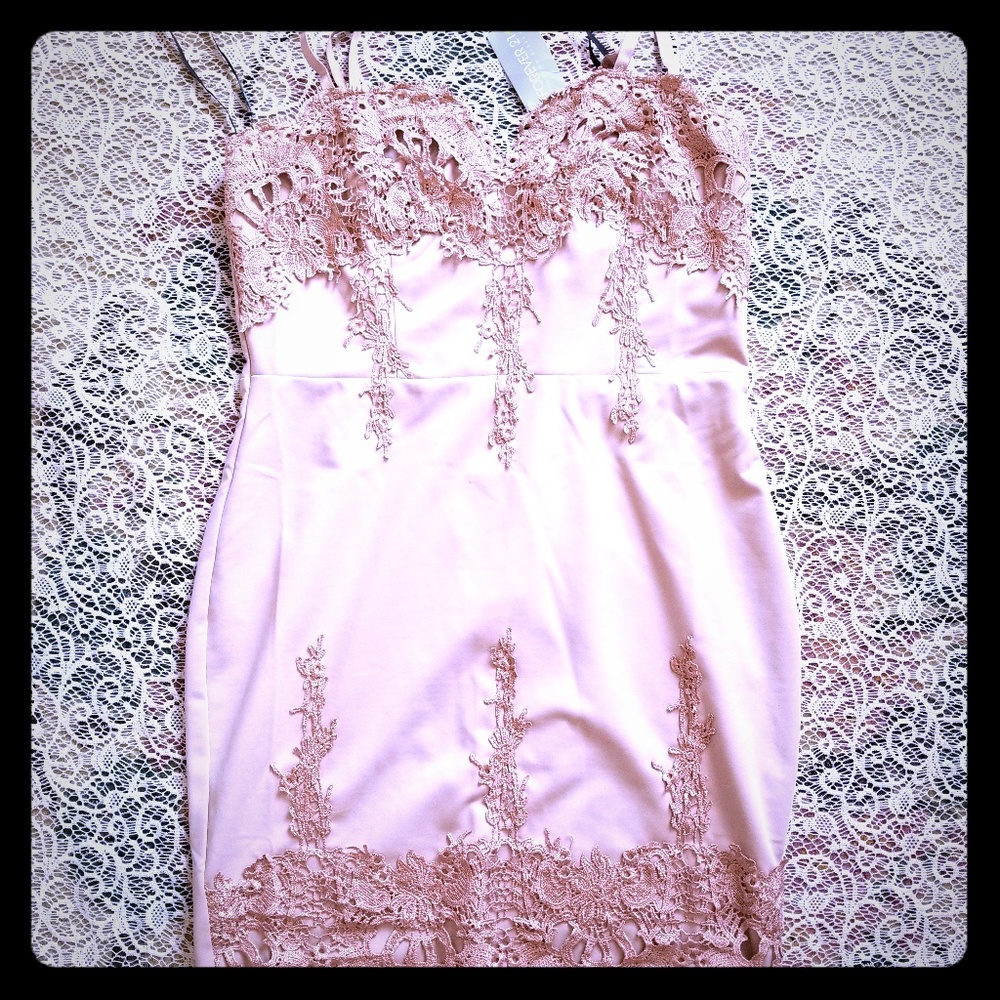 Blush Forever 21 Bodycon Dress